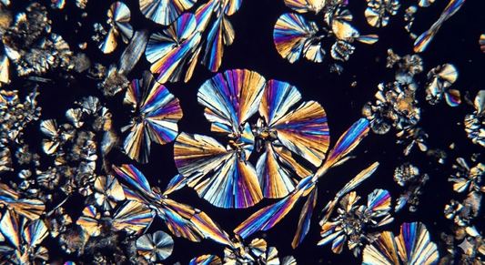 Ceramides: The Foundation of Hydrated, Calm, Radiant Skin